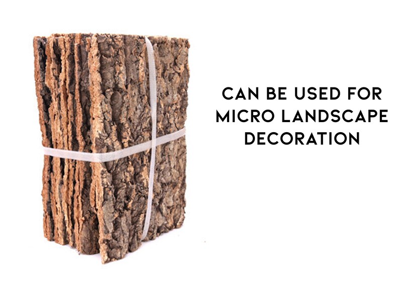 Natural Tree Bark Driftwood for Fish Tank Aquarium Decor, Unique