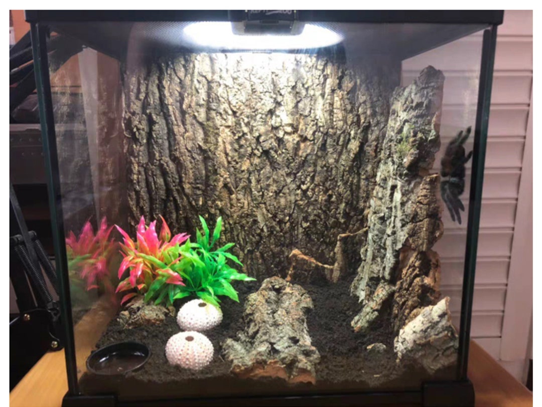 Natural Tree Bark Driftwood for Fish Tank Aquarium Decor, Unique