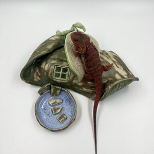 May include: A reddish-brown bearded dragon lizard resting on a green ceramic leaf-shaped structure that features a small window and a separate circular blue bowl containing three small ceramic pieces, all crafted with a glossy finish.