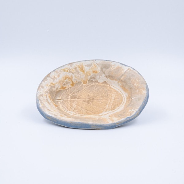 Ceramic Salad water bowl for reptiles /lizard /bearded dragon/gecko /frog /small snake
