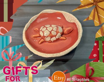 May include: A round ceramic dish with a glossy red interior and a textured, speckled beige rim. A sculpted, three-dimensional turtle with a beige and red patterned shell is attached to the centre of the dish, resting on the smooth red surface.