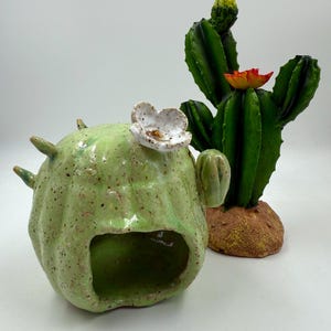 May include: Two ceramic cactus sculptures. One is a light green, rounded shape with a flower and a rectangular opening. The other is a tall, dark green cactus with a red and yellow flower. Both are on a white background.