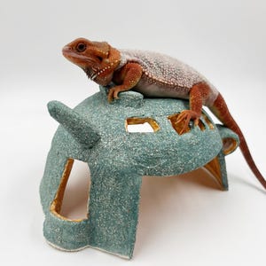 May include: A bearded dragon lizard with orange and white scales resting on top of a textured, dome-shaped teal ceramic reptile hide. The hide features multiple rectangular cutouts and a smooth, glossy orange interior finish visible through the openings.