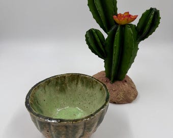 Cactus Base Planter – Wild West Terrarium Bowl / Reptile Decor / Home Accent