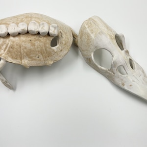 Handmade Ceramic Bird Bone Set with Reptile Hide