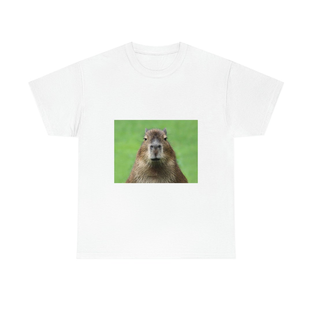 Capybara Shirt Capybara Clothing Capybara Tshirt Capybara Etsy