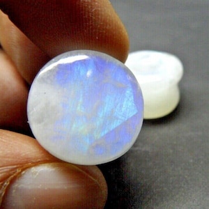 May include: A pair of round, white moonstone plugs with iridescent blue and purple hues. The plugs are smooth and polished.