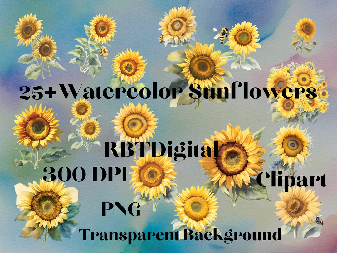 Watercolor Sunflower Clipart Floral Art Botanical Illustration Unique