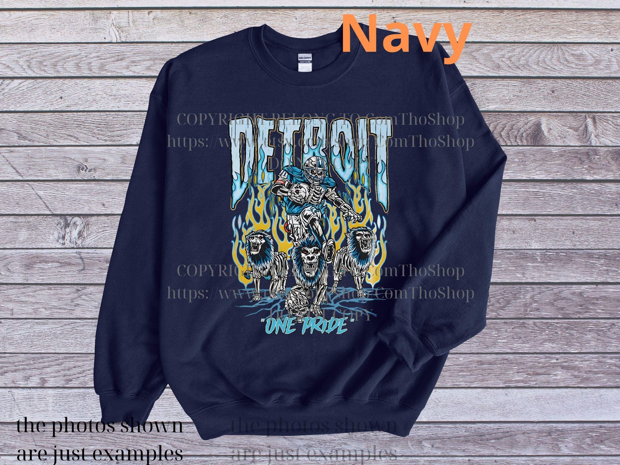 Detroit One Pride T-Shirt, Detroit Football Sweatshirt, Detroit Football Crewneck, Detroit Football Gift, Detroit Football Tee, Lions Shirt