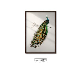 Arte colorido de pavo real, arte de acuarela vintage, impresión de arte de aves, arte de pared de animales, póster impreso, pintura al óleo, decoración de pared clásica, GRAN TAMAÑO