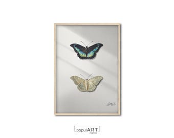 Schmetterling Wand Kunstdruck, Vintage Schmetterling Druck, Aquarell Bauernhaus Wanddekoration, Eklektische Tierkunst, Schlafzimmerdekor, GEDRUCKTES POSTER