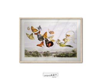 Butterfly Print, Butterfly Wall Art, Vintage Butterfly Print, Neutral Farmhouse Wall Decor, Eclectic Animal Art, Antique Butterfly Art