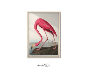 Pink Flamingo Poster, Vintage Animal Wall Art, Exhibition Poster, Fine Art, Classical Wall Art, Giclee Wall Decor, Gift Idea, OVERSIZE