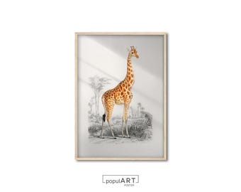 Vintage Giraffe Print, Animal Wall Art, Printed Poster, Nursey Decor, Safari Animal Artwork, Kid’s Room Decoration, Birthday Gift Idea