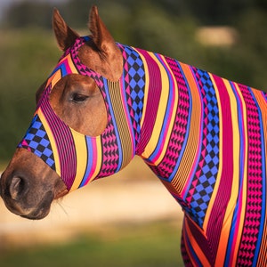 Könnte beinhalten: Ein Pferd trägt eine bunte gestreifte und karierte Fliegenmaske und einen Halsüberzug. Der Überzug ist aus dehnbarem Stoff und hat eine Vielzahl von leuchtenden Farben, darunter Pink, Orange, Gelb, Blau und Schwarz.