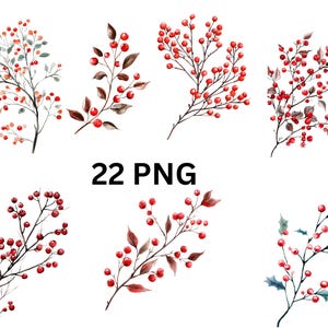 Clipart kerstbessentak | 22 digitale png-winterbessen, afzonderlijke png-afbeeldingen op transparante achtergrond, sublimatie