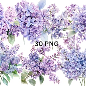 30 imágenes prediseñadas de acuarela de flores lilas, archivos digitales PNG sobre fondo transparente, sublimación, uso comercial