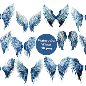 Watercolor wings clipart, transparent background, high quality, clipart, 12x12, commercial use
