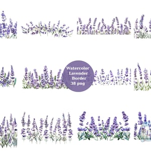 38 Lavender Borders Watercolor Clipart, Floral Clipart, PNG digital files on transparent background, sublimation, commercial use