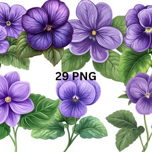 Violet Flower Clipart Set – 29 PNG, Purple Floral Illustrations, Botanical Stickers, Garden Flower Art, Digital Download