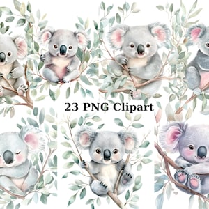 23 Cute Koalas Watercolor Clipart, Animals Clipart, PNG individual images on transparent background, sublimation