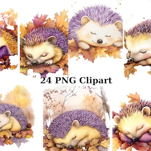 24 Ouriços Pastel Aquarela Clipart, Animais Clipart, PNG imagens individuais em fundo transparente, sublimação