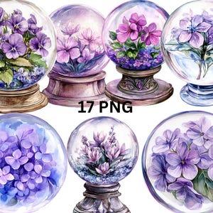 17 Fiolet w Kryształowej Kuli Akwarele Clipart, Kwiatowy Clipart, Pliki cyfrowe PNG na przezroczystym tle, sublimacja, użycie komercyjne