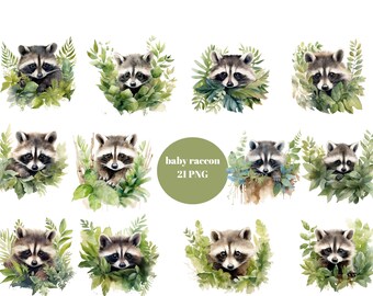 21 Baby Raccoons Watercolor Clipart, Animals Clipart, PNG individual images on transparent background, sublimation, commercial use
