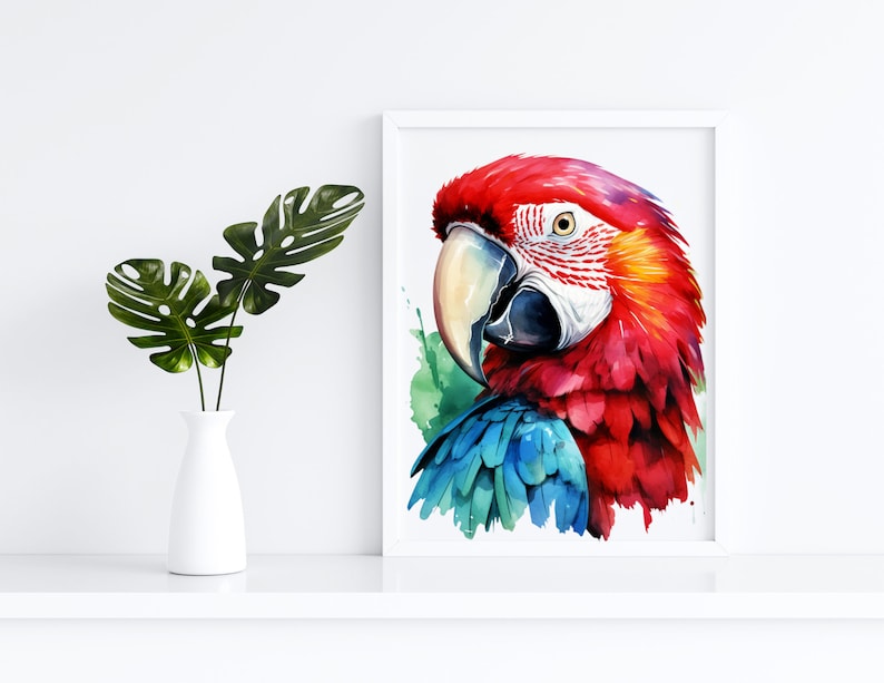 Watercolor Parrots Clipart PNG Digital Files on a Transparent - Etsy