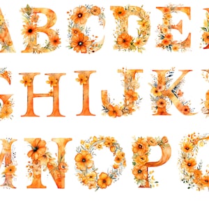 Aquarel bloemen oranje alfabet clipart, bloemen alfabet, transparante achtergrond, hoge kwaliteit, clipart, 12 x 12, commercieel gebruik