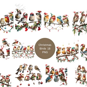 18 Weihnachtsvögel Clipart, Weihnachtsclipart, PNG einzelne Bilder auf transparentem Hintergrund, Sublimation