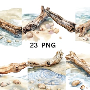 23 drijfhout aquarel clipart, digitale PNG-bestanden op transparante achtergrond, sublimatie, commercieel gebruik