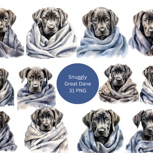 31 Snuggly Great Danes Watercolor Clipart, Dogs Clipart, PNG individual images on transparent background, sublimation