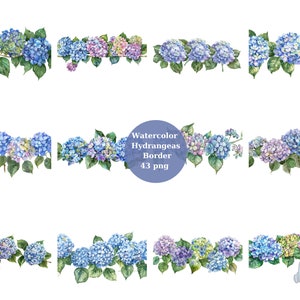 43 hortensia's grenzen aquarel clipart, bloemen clipart, digitale PNG-bestanden op transparante achtergrond, sublimatie, commercieel gebruik
