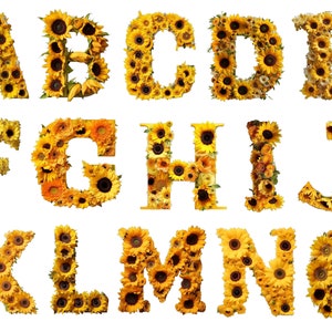 Alphabet de tournesols, clipart, 12 x 12, utilisation commerciale, fond transparent