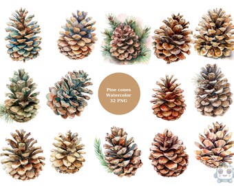32 Watercolor Pine Cones Clipart, Fall Clipart, PNG individual images on transparent background, sublimation, commercial use