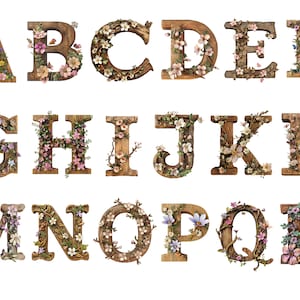 Alfabeto de madeira floral, letras png, alfabeto png, download instantâneo para uso comercial, alta resolução, 12x12, uso comercial