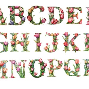 Tulpen alfabet, letters png, alfabet png, instant download voor commercieel gebruik, hoge resolutie, 12x12, commercieel gebruik