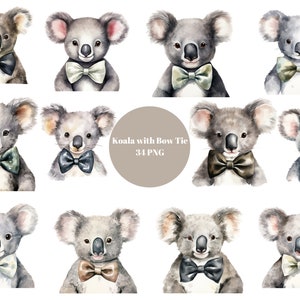 34 koala con papillon ad acquerello, clipart di animali, singole immagini PNG su sfondo trasparente, sublimazione