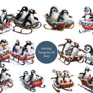 35 pingouins sur un traîneau Clipart, clipart Noël, images individuelles PNG sur fond transparent, sublimation