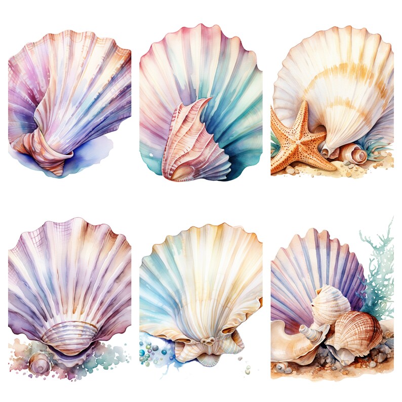 Watercolor Seashells Clipart, PNG Digital Files on Transparent ...