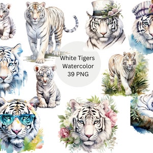 Aquarel witte tijgers clipart, digitale PNG-bestanden op transparante achtergrond, sublimatie, commercieel gebruik