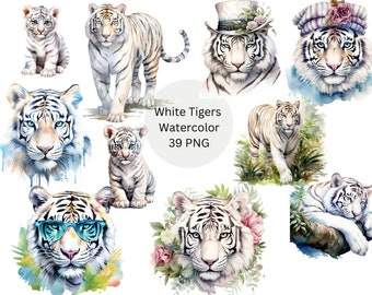 May include: A set of 39 watercolor illustrations of white tigers in various poses. The tigers are depicted in a realistic style with intricate details. Some tigers are wearing hats or sunglasses. The illustrations are perfect for adding a touch of whimsy and elegance to any project.
