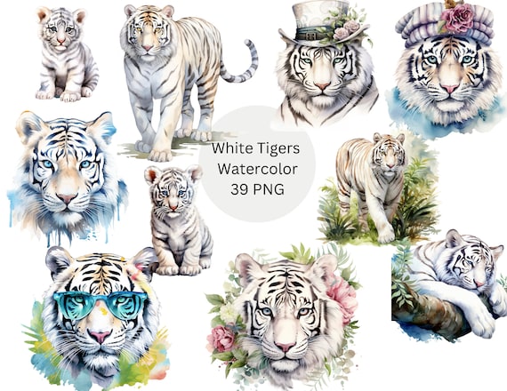 Watercolor White Tigers Clipart, PNG digital files on transparent background, sublimation, commercial use