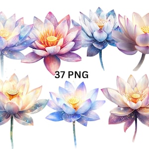 Acquerello Fiore di Loto PNG Clipart - 37 Sfondo Trasparente Illustrazioni Floreali Mistiche, Arte Digitale Spirituale, Download Istantaneo