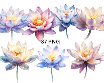Watercolor Lotus Flower PNG Clipart - 37 Transparent Background Mystical Floral Illustrations, Spiritual Digital Art, Instant Download