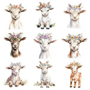 May include: Nine watercolor illustrations of goats wearing flower crowns. Each goat has a different colored crown and is depicted in a different pose. The goats are all facing forward and have a friendly expression.