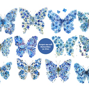 16 cliparts aquarelle papillon myosotis, clipart floral, images individuelles PNG sur fond transparent, sublimation