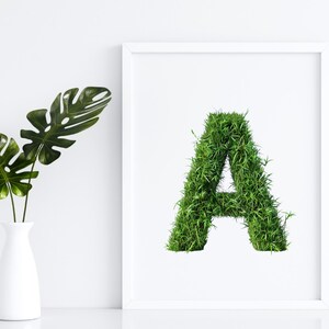 May include: A white frame with a white mount surrounding a green letter A made of grass. The letter is centred in the frame. A potted plant with large green leaves is on the left side of the frame.