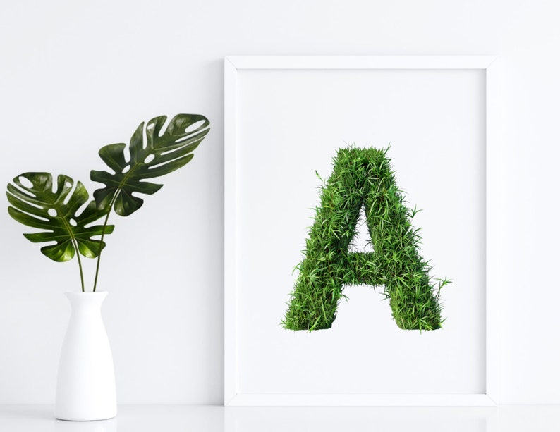 May include: A white frame with a white mount surrounding a green letter A made of grass. The letter is centred in the frame. A potted plant with large green leaves is on the left side of the frame.